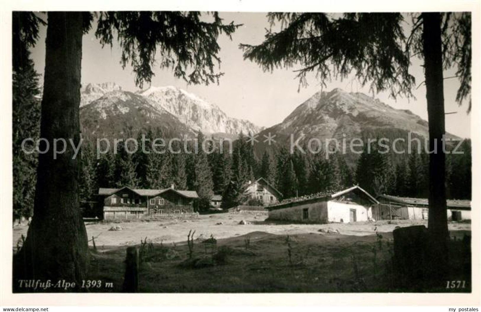 Leutasch Tillfuss Alpe Almwirtschaft Alpen