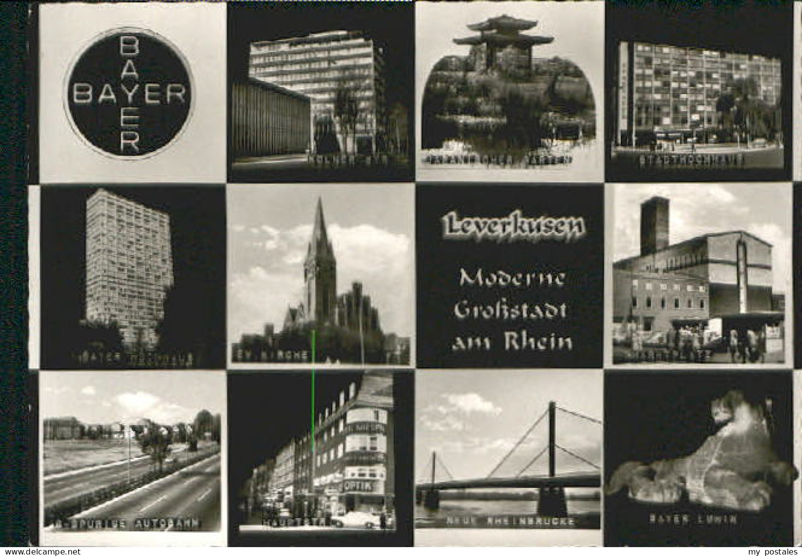 LEVERKUSEN  CITY  o