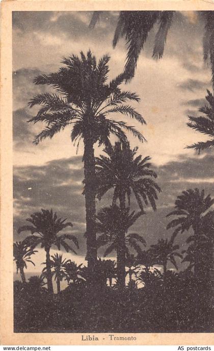 B371 Lebanon Libia Tramonto Typical Trees vintage postcard
