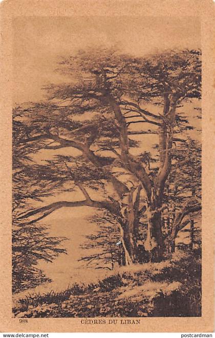 Liban - Cèdres du Liban - Ed. Sarrafian Bros. 988