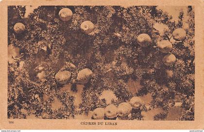 Liban - Cèdres du Liban - Ed. Sarrafian Bros. 990