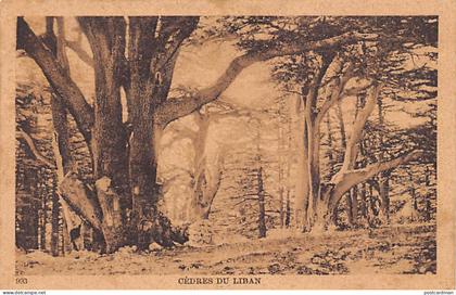 Liban - Cèdres du Liban - Ed. Sarrafian Bros. 993