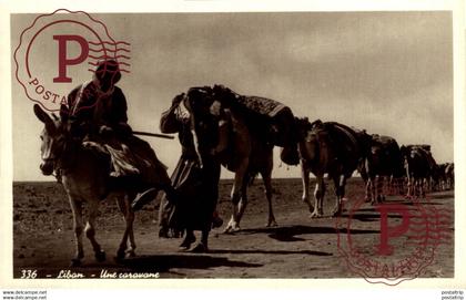 RPPC CARTE PHOTO     LIBAN .... UNE CARAVANE LIBANON   BURROS ANE DONKEY EZEL BURRO