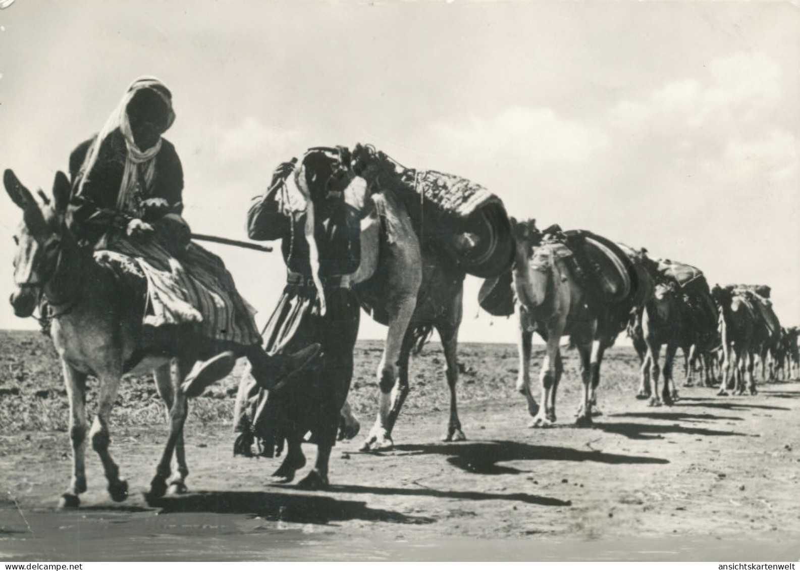 Libanon a caravan gl1980? #103.870