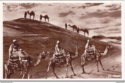 LEBANON - Le Désert, Photo Postcard