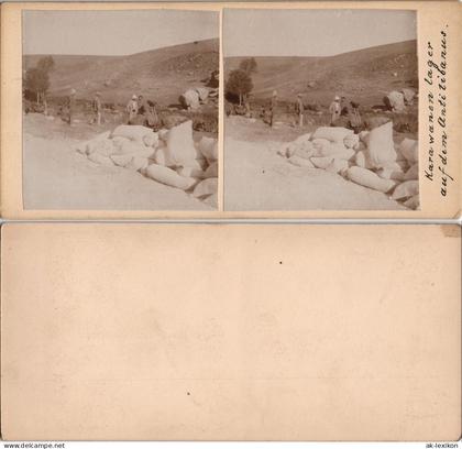 Libanon Karawanenlager Antilibanos Libanon 1909 Privatfoto 3D/Stereoskopie
