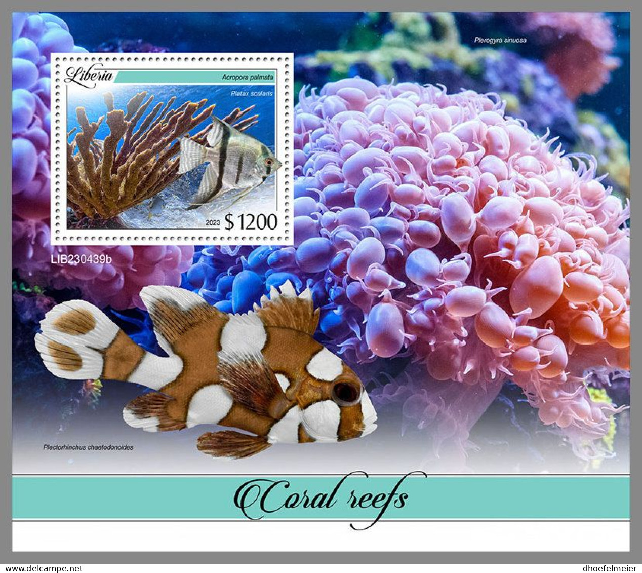 LIBERIA 2023 MNH Coral Reefs Korallenriffe S/S – OFFICIAL ISSUE – DHQ2413