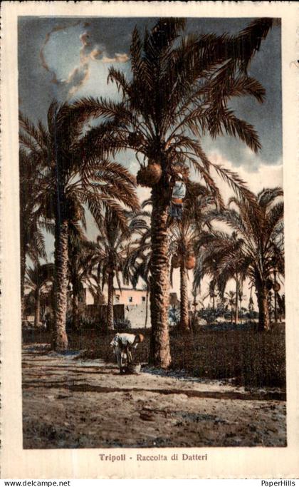 Afrika Africa - Liberia - Tripoli
