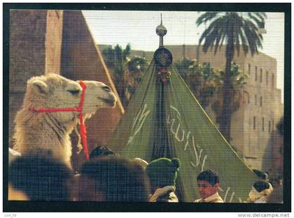 105004 / TRIPOLI - CAMEL - Libia Libya Libyen Libye Libie Pc 1985 postcard
