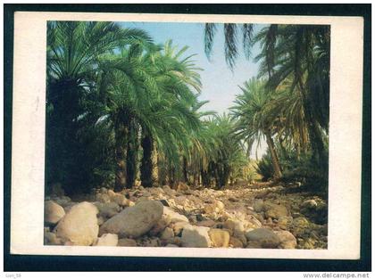 105029 / landscape palm rock river postcard 1985 PC Libia Libya Libyen Libye Libie
