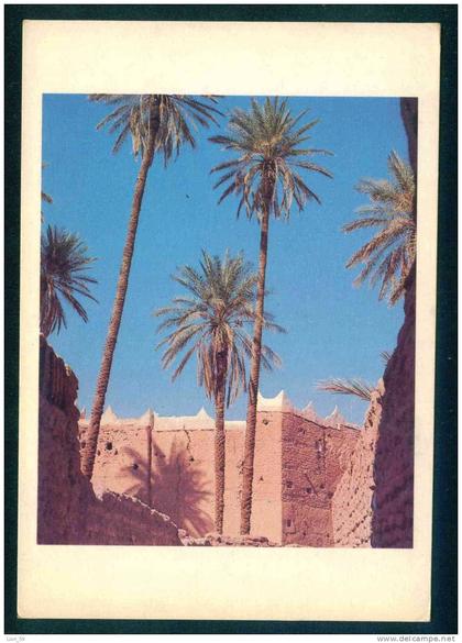 105033 / Archaeology Building Palms postcard 1985 PC Libia Libya Libyen Libye Libie