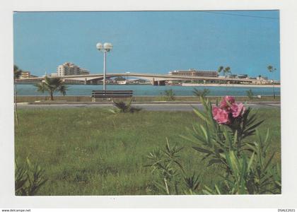 Libya Libyen Libye Libia Benghazi 23 July Park View Vintage RPPc Photo Postcard (26608)