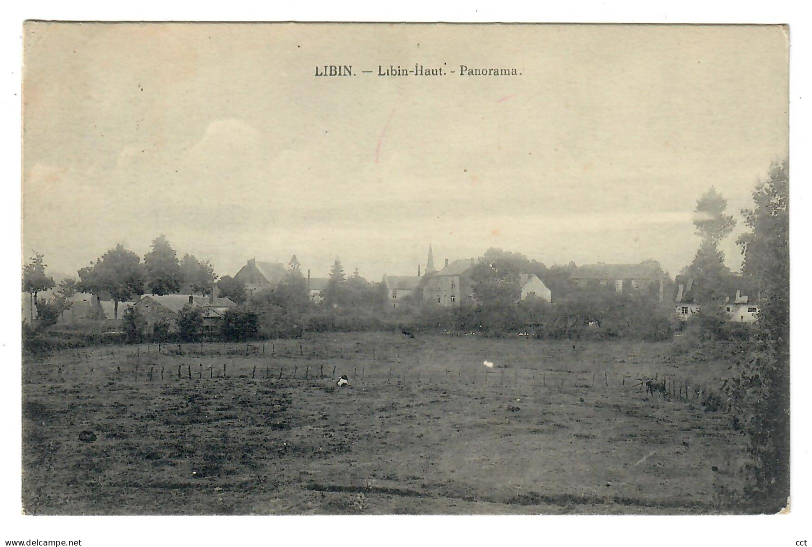 Libin  Libin-Haut   Panorama