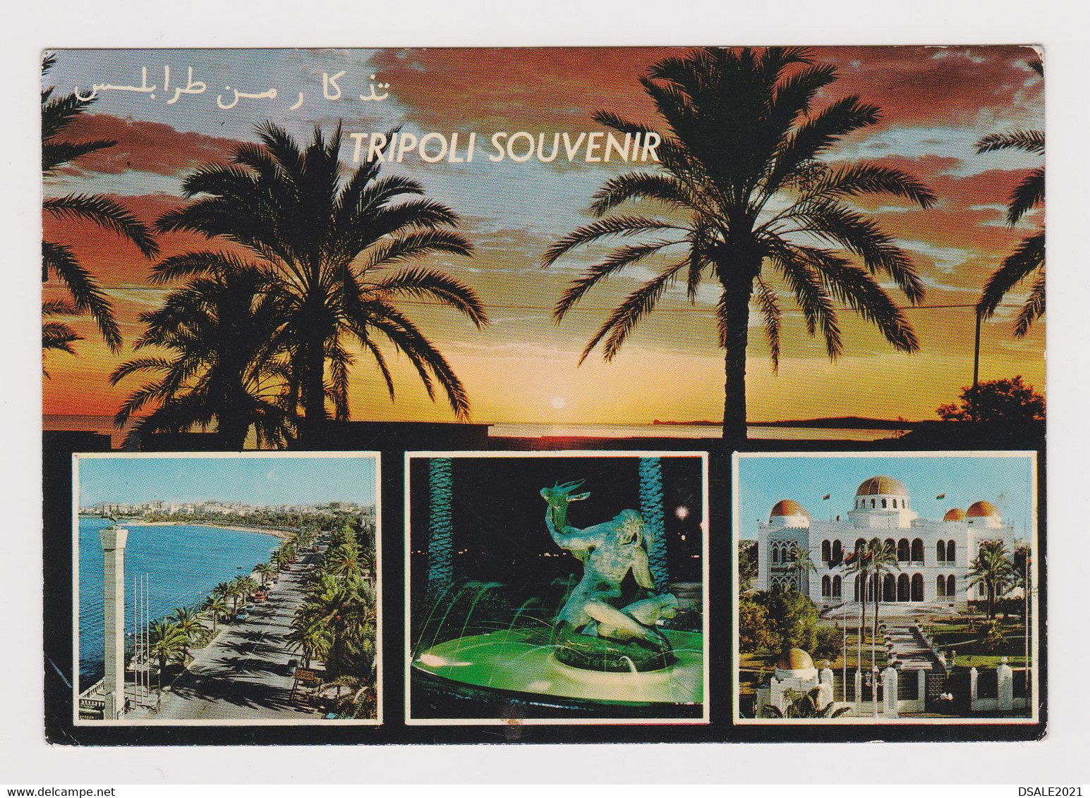Libya Libyen Libia Libye TRIPOLI Souvenir Multiple View Vintage Photo Postcard RPPc CPA (51083)