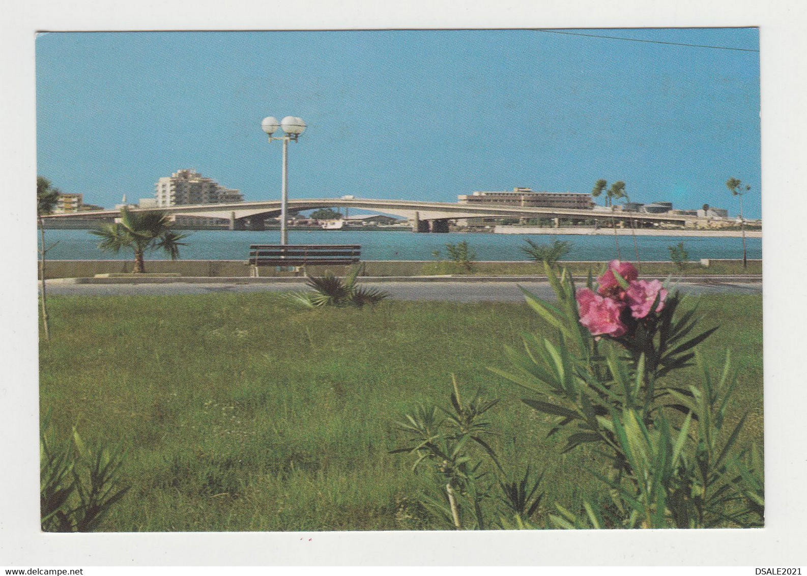 Libya Libyen Libye Libia Benghazi 23 July Park View Vintage RPPc Photo Postcard (26608)