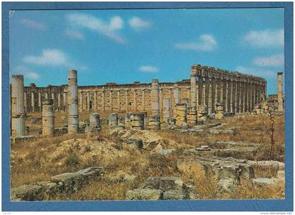 214703 / CYRENE - The ruins  ANTIQUE wreck  "Athens of Africa" , Libia Libya Libyen Libye Libie