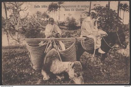 $#$#(AD2603)- Nella Libia Italiana-Trasportatore di verdura- usata da Tripoli 1914