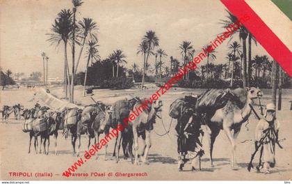 Tripoli - Attraverso l'Oasi di ghergaresch - طرابلس - Libya Libie