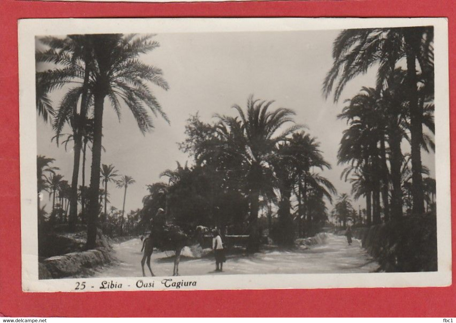 Libye - Oasis Tagiura