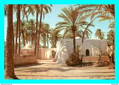 a857 / 475 Libye TRIPOLI Oasis Typical view