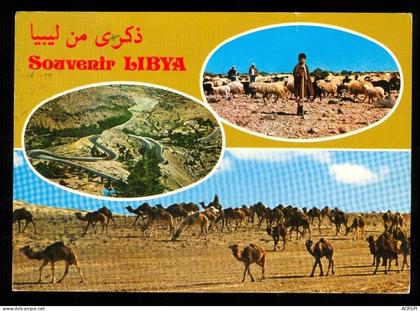 libya  libye