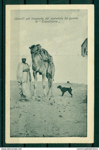 Libye ca. 1910 - CPA "chameaux pour le transport de matériel de guerre en Tripolitaine"