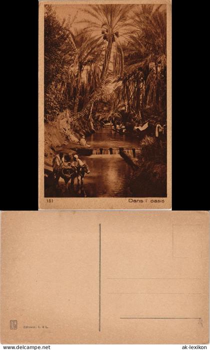 Postcard .Libyen Un Oasi tranquilla/Kinder mit Esel in der Oase 1920