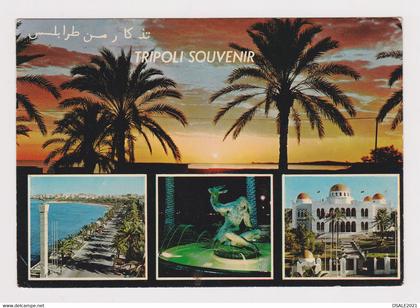 Libya Libyen Libia Libye TRIPOLI Souvenir Multiple View Vintage Photo Postcard RPPc CPA (51083)