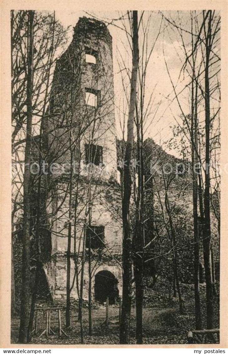 Liebau Poehl Vogtland Burgruine