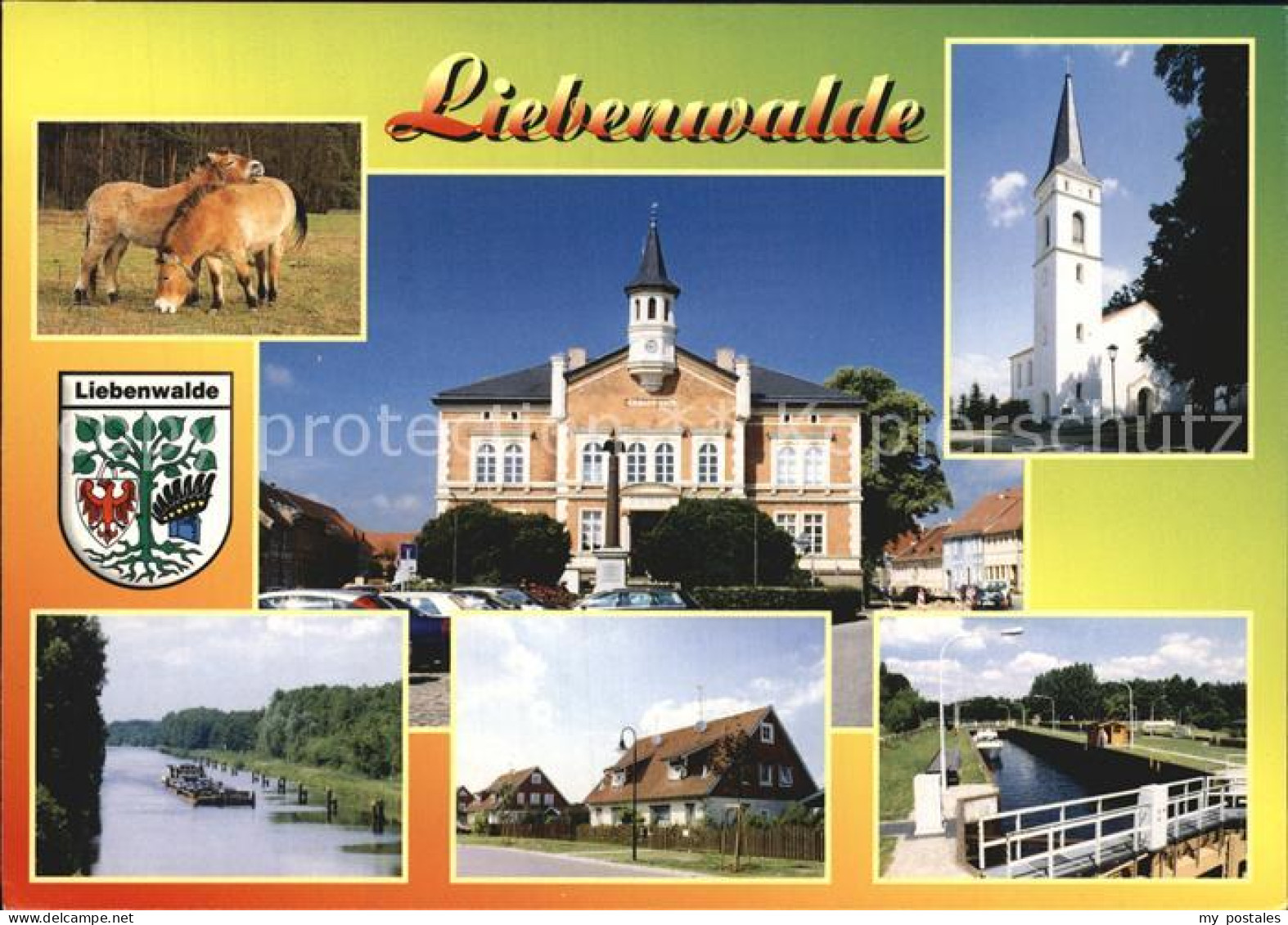 Liebenwalde Wildpferde Rathaus Bischofswerder Schleuse