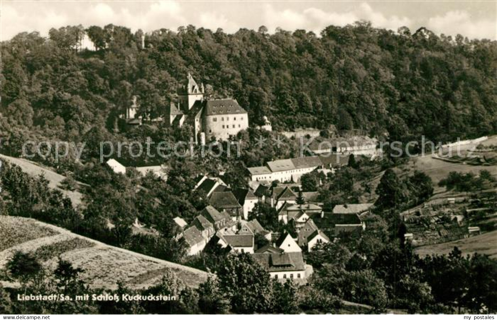Liebstadt mit Schloss Kuckuckstein