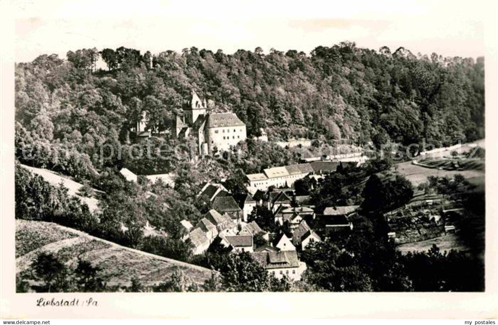 Liebstadt Panorama