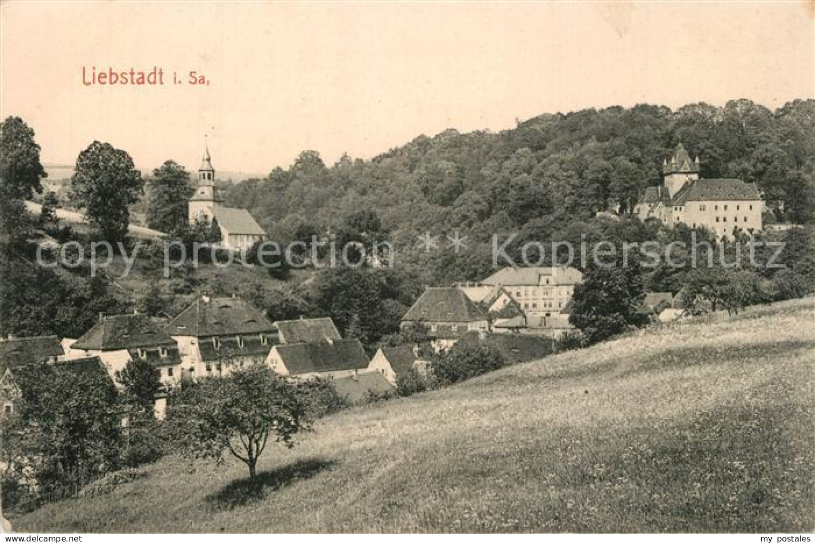 Liebstadt Panorama