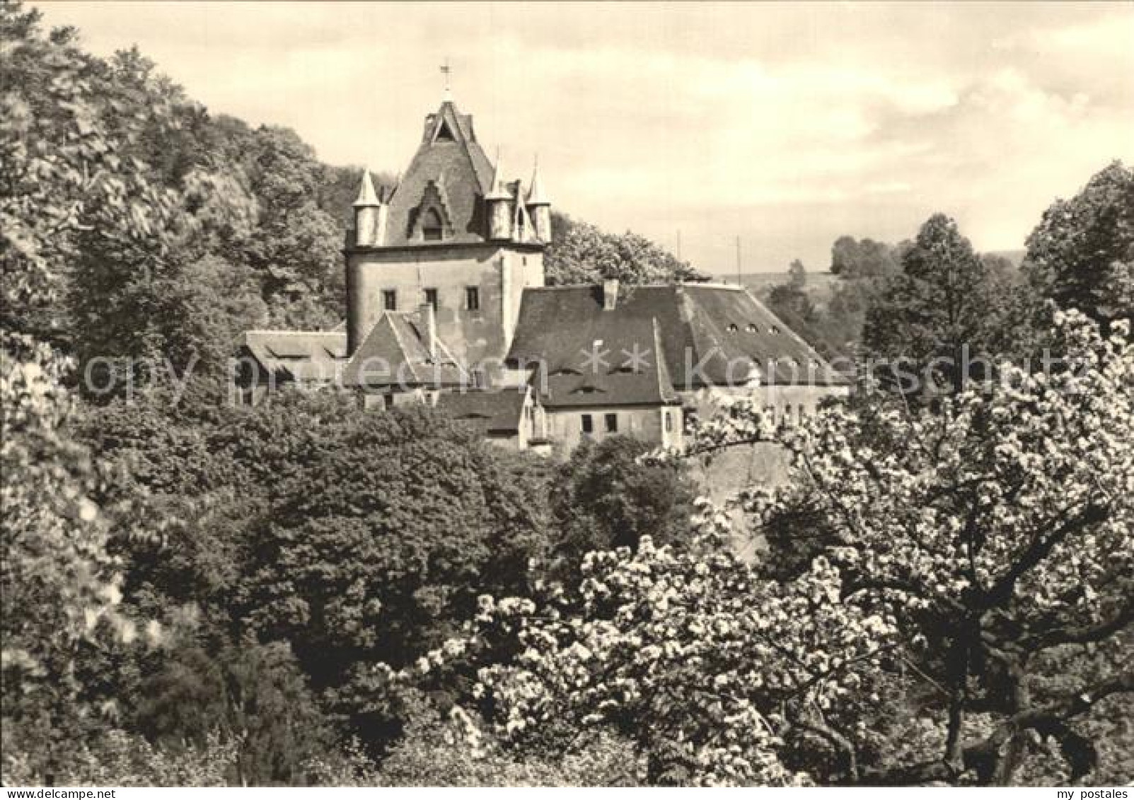 Liebstadt Schloss Kuckuckstein