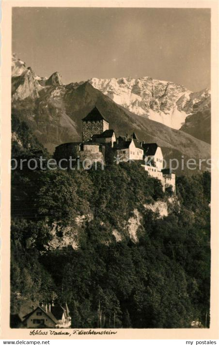 Liechtenstein  Schloss Vaduz