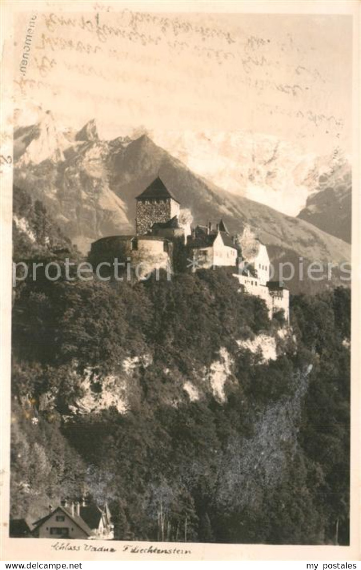 Liechtenstein  Schloss Vaduz