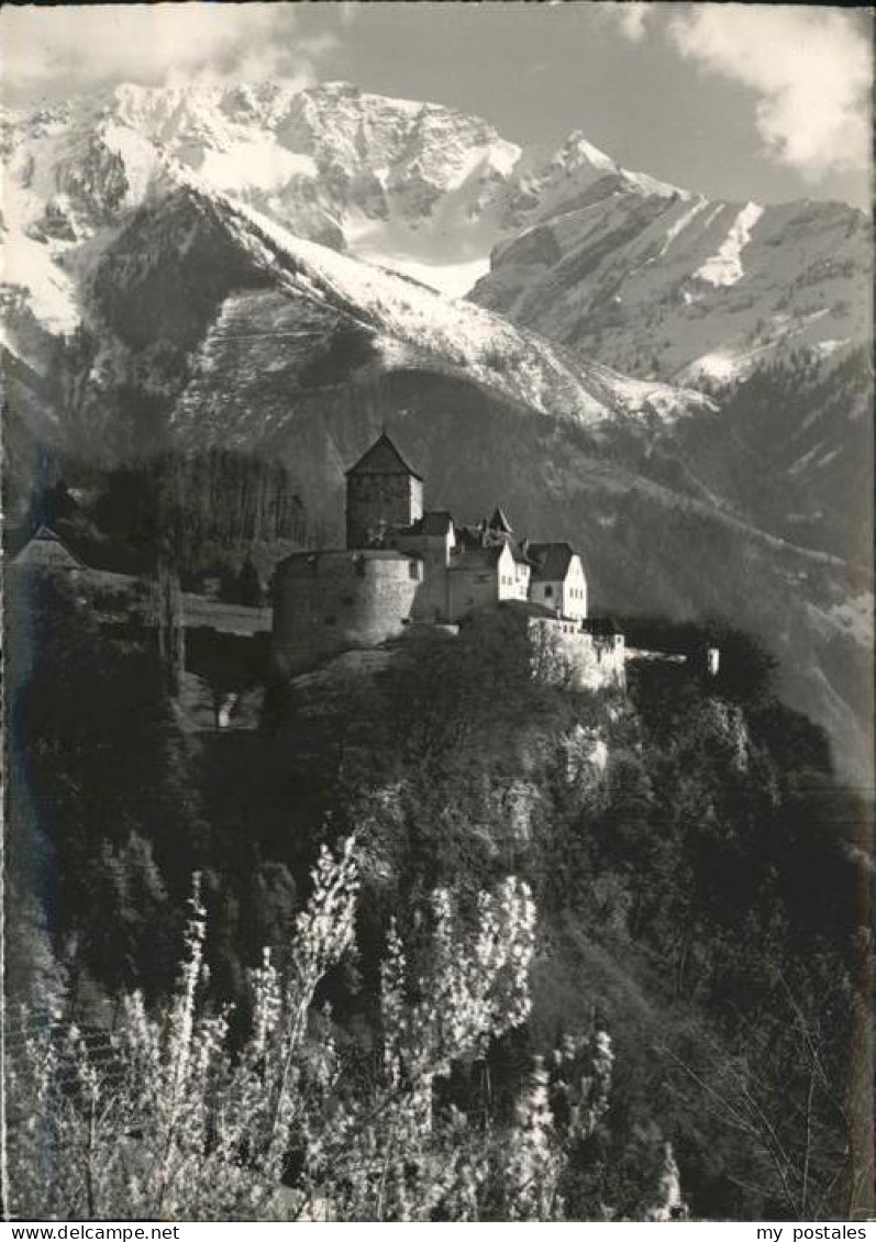 Liechtenstein Schloss Vaduz