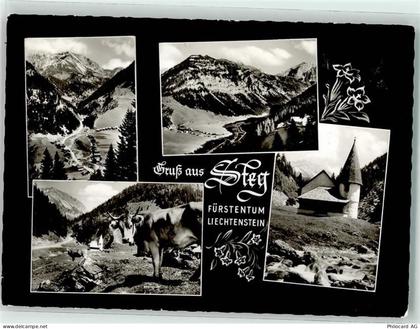 9497 Steg - 13963557