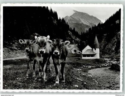 9497 Steg - 13963559