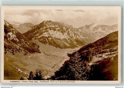 9497 Steg Foto AK Saminatal Sücca Steg gegen Naafkopf - 13136925