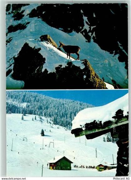 9497 Steg - Gemse Skigelände Steg Saminatal Winter - 10191892