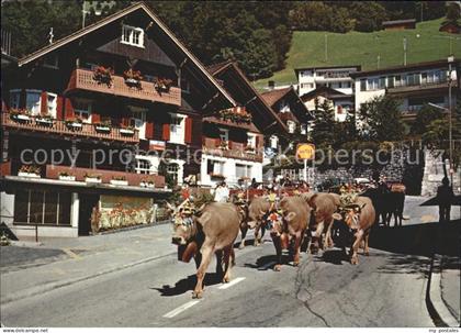 Liechtenstein  Almabtrieb