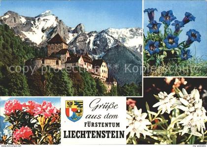 Liechtenstein  mit Schloss
