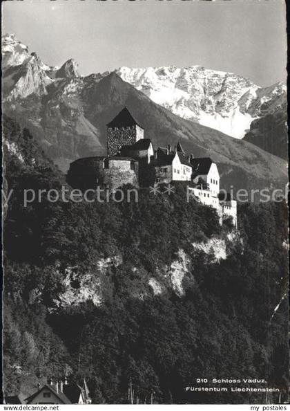 Liechtenstein  Schloss Vaduz
