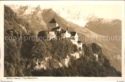 Liechtenstein  Schloss Vaduz