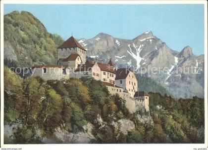 Liechtenstein  Schloss Vaduz