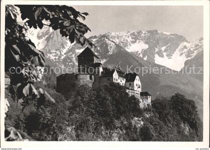 Liechtenstein  Schloss Vaduz