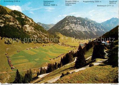 Steg Liechtenstein Panorama