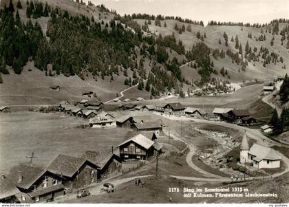Steg Saminatal Liechtenstein Panorama mit Kulmen