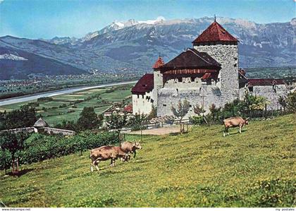 Vaduz Liechtenstein FL Fuerstenturm Liechtenstein Schloss Vaduz
